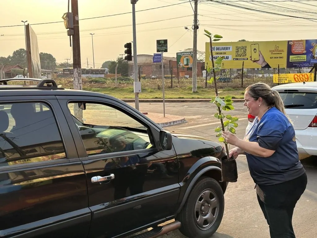 Foto: Instituto Pequeno Cidadão