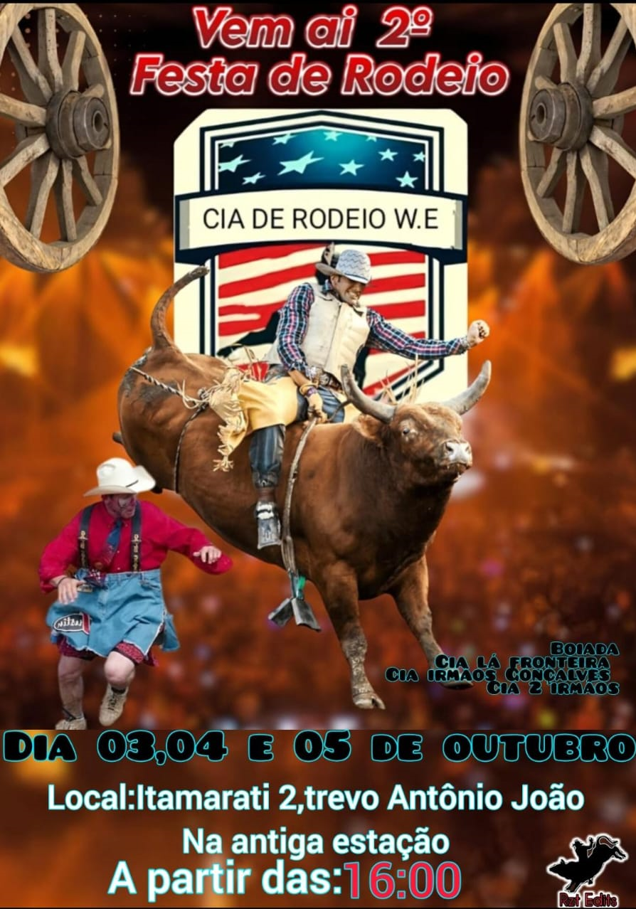 Banner ofical da ''2ª Festa de Rodeio''