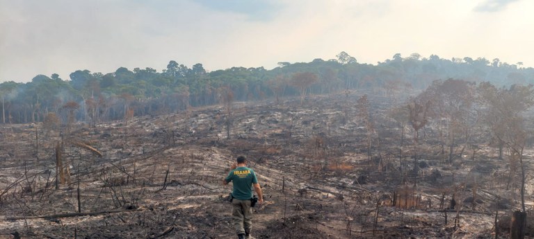 Foto: Instituto Brasileiro do Meio Ambiente e dos Recursos Naturais Renováveis