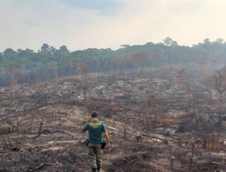 BNDES corta crédito rural no valor de R$ 728 milhões a desmatadores ilegais