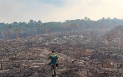 BNDES corta crédito rural no valor de R$ 728 milhões a desmatadores ilegais